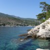 balazsh - 2008 - Aliki
