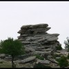 balazsh - 2006