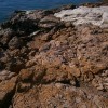 Hippi part - Saloniko Beach
