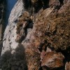 Hippi part - Saloniko Beach