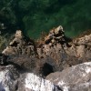 Hippi part - Saloniko Beach