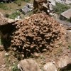Paleohori ősi falu