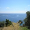 153.	Aliki