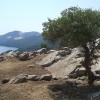 4_nyugalom