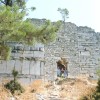 verus - 2008